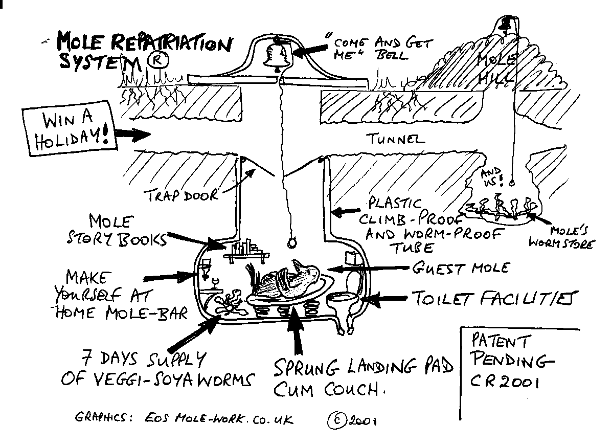 Mole repatriation system