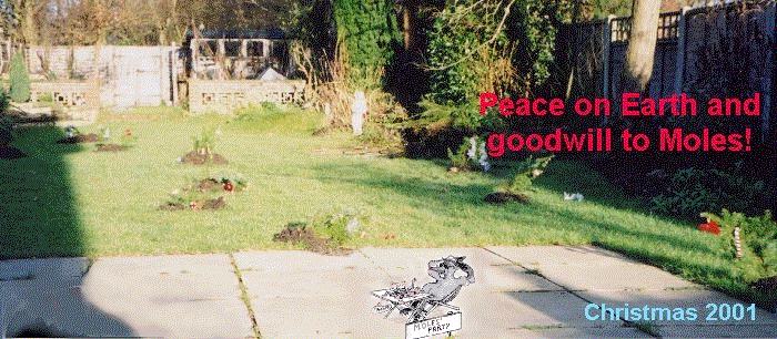 Christmas: peace on earth, goodwill to moles