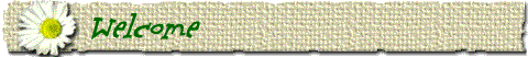 Welcome