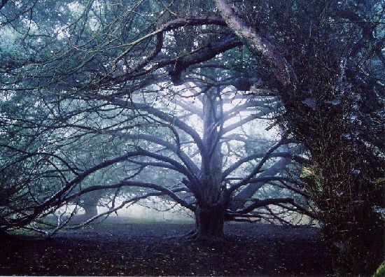 Opportunity after Dusk